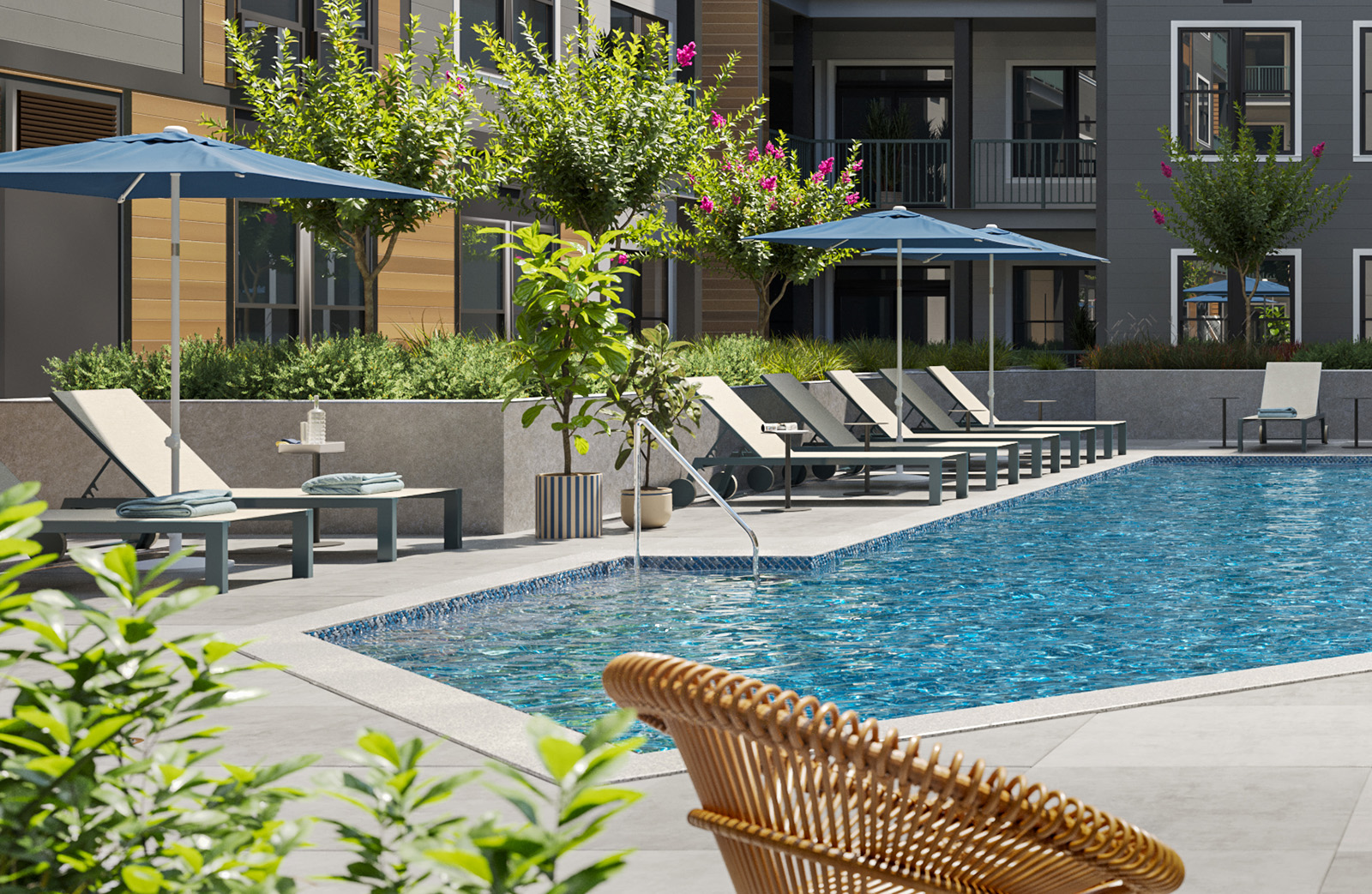 live alder pool